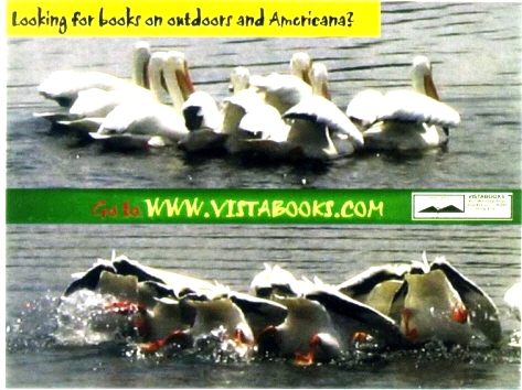 VistaBooks Outlet floating diving geese